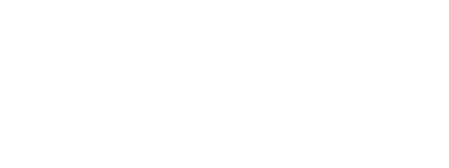 partner-vizzia